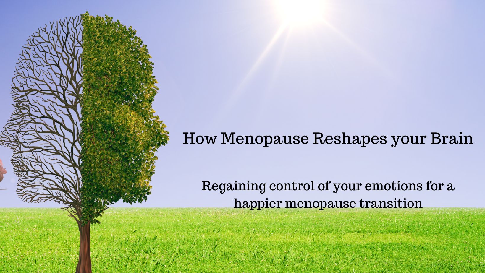 Alternative Menopause Solution